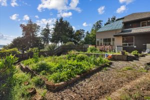 Kale, lettuce, collards, beans, tomatoes, squash, herbs & more