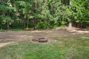 Facing toward the north edge of the property. Not visible is the driveway easement to the neighbor, with the well in the center (and broken plastic flamingos!)